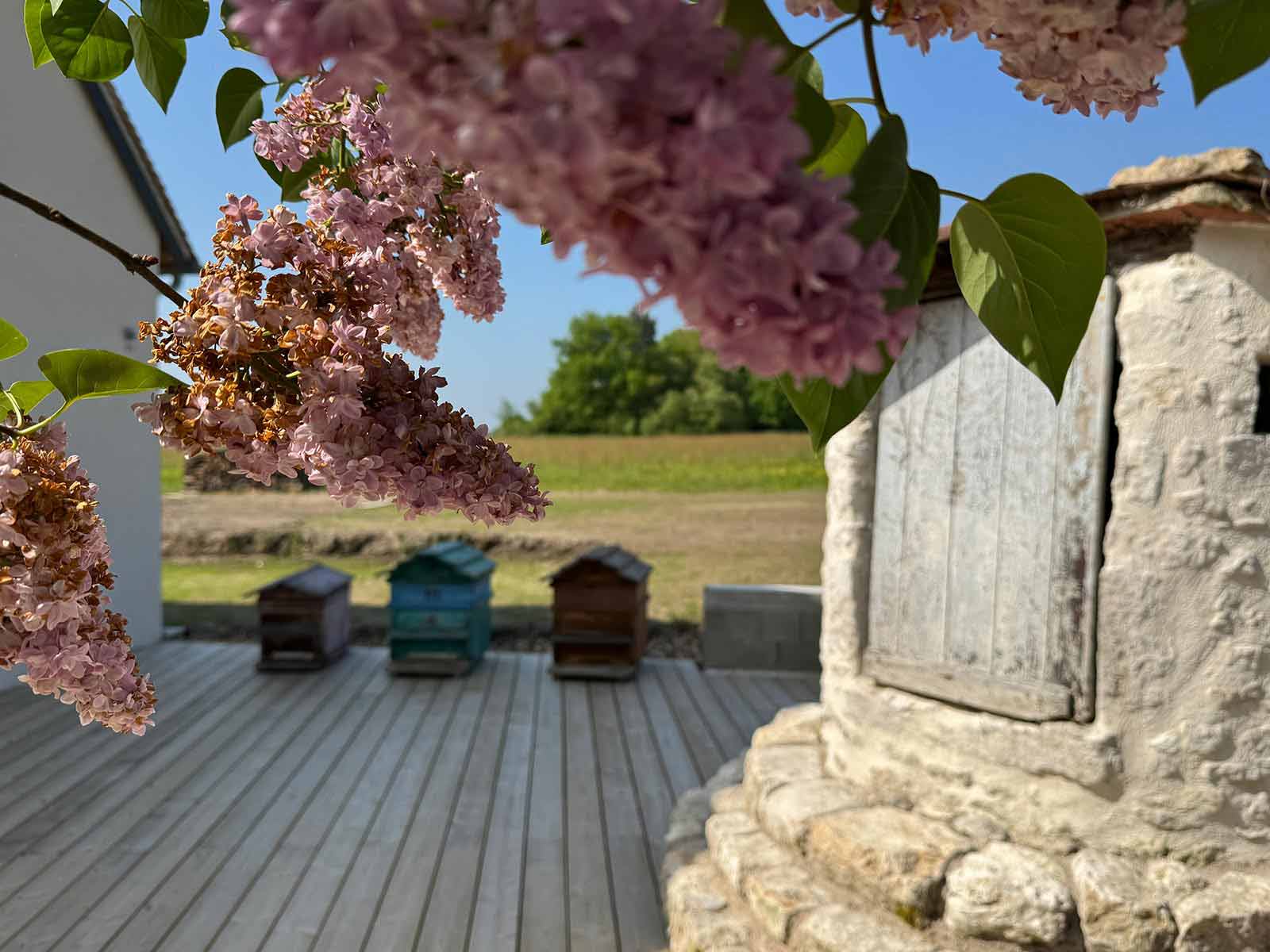 Notre ferme du Loire et Cher