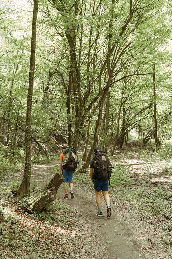 Randonneurs en forêt